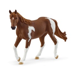 Jument Paint Horse Horse...
