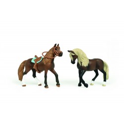Mes Premiers Chevaux Paso...