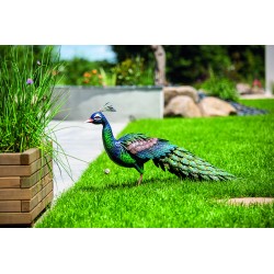 PEACKY Paon décoratif...
