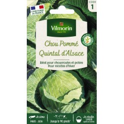 VILMORIN CHOU CABUS Quintal...