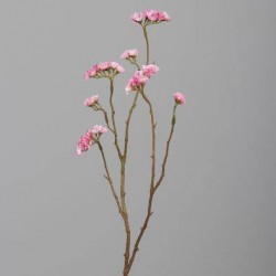 Tige Statice  Rose Clair H67