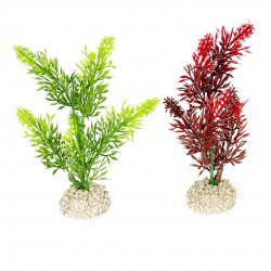 PLANTE ELODEA DENSA MIX...