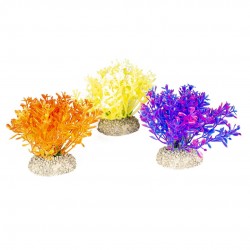 PLANTE GLOSSO MIXS H9 AQUA...