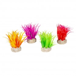 PLANTE HAIR GRASS S H6 AQUA...