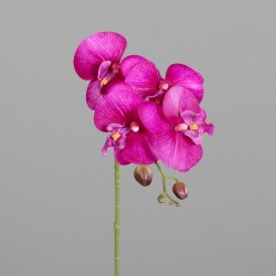 Tige Orchidée Real Touch...