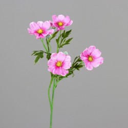 Tige Cosmos  Rose H55