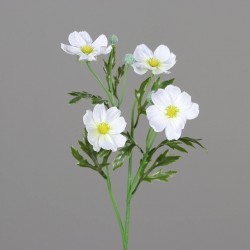 Tige Cosmos  Crème H55