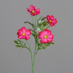 Tige Cosmos  Fuchsia H55