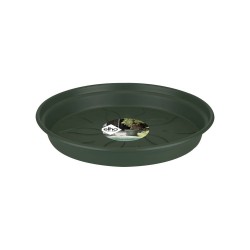 Soucoupe Green basics 29cm...