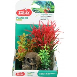 PLANTKIT ESSENTIAL Tête de...