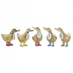 Canard En Botte H12-DCUK