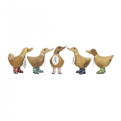 Canard En Botte Fleurie...