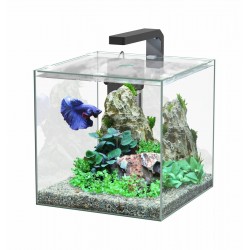 Aquarium nano KUBUS BETTA...