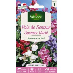 VILMORIN POIS DE SENTEUR...