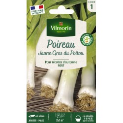 VILMORIN POIREAU Jaune Gros...