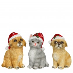 Chien/Chat De Noël...
