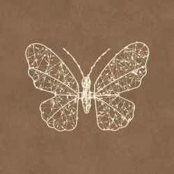 Papillon Led À Suspendre...