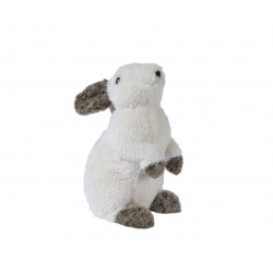lapin fourrure fourrure...