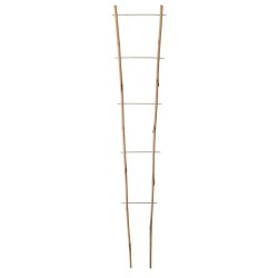 Tuteur Échelle BAMBOO...