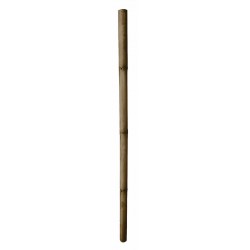 Tuteur bambou deco Ø7/9-H200