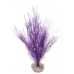 Herbe corail violet MM LABEO