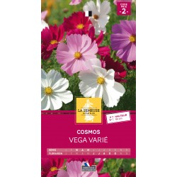 Graines Cosmos Vega -LA...