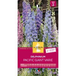Graines Delphinium Pacific...