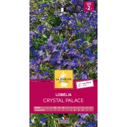 Graines Lobelia crystal...