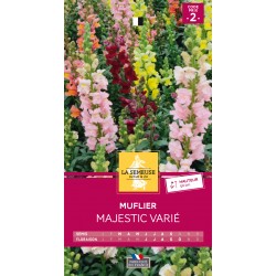 Graines Muflier Majestic...