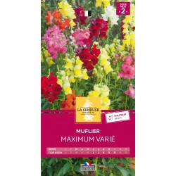 Graines Muflier Maximum -LA...