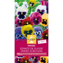 Graines Pensee Géante De...