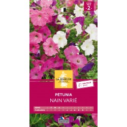Graines Petunia Nain -LA...