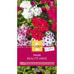 Graines Phlox Beauté -LA...