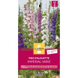 Graines Pied D'Alouette...