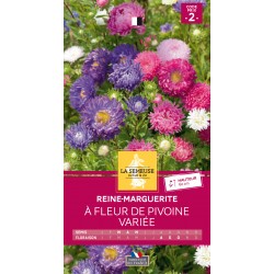 Graines Reine-Marguerite À...