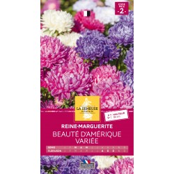 Graines Reine-Marguerite...