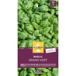Graines Basilic grand vert...