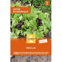 Graines Mesclun 3 OFFRE ECO...