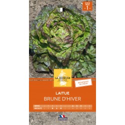 Graines Laitue brune d...