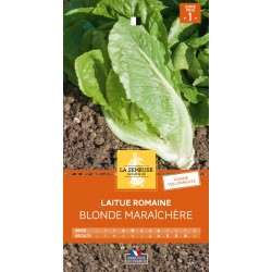 Graines Laitue romaine...