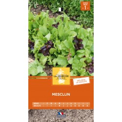 Graines Mesclun 1 LA SEMEUSE