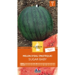 Graines Melon d'eau...