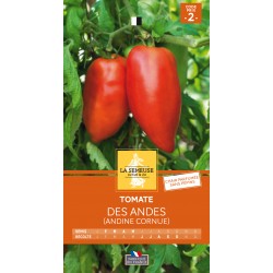 Graines Tomate des andes...