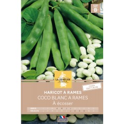 Graines Haricot À Rames À...