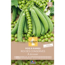 Graines Pois À Rames Roi...