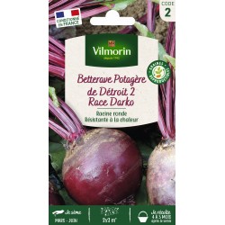 VILMORIN BETTERAVE Potagère...