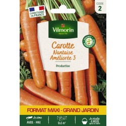 VILMORIN-CAROTTE Nantaise...