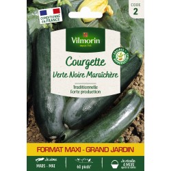 VILMORIN-COURGETTE Verte...