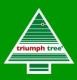 TRIUMPH TREE