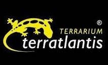 TERRATLANTIS